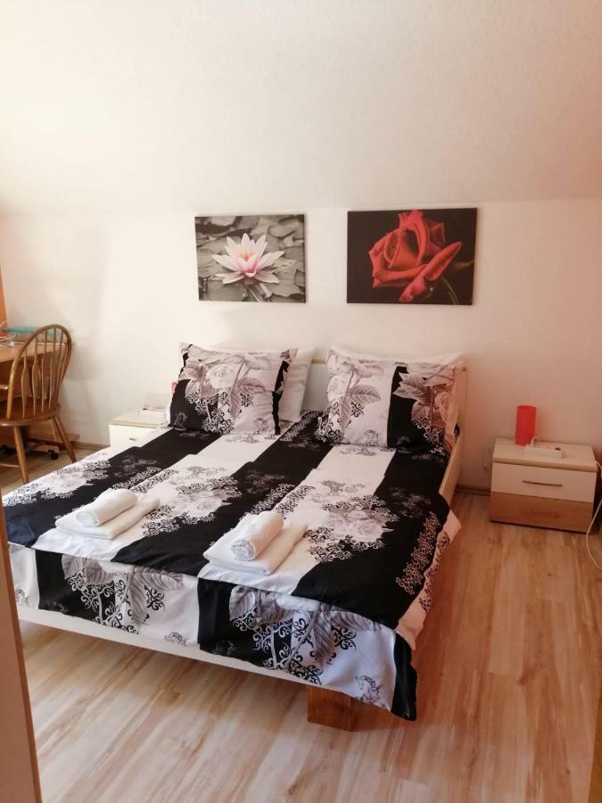 Apartman Franjicic كورينيتسا المظهر الخارجي الصورة